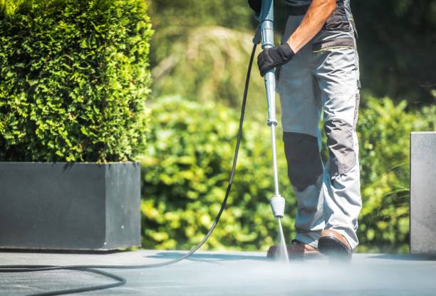 Best Fence Cleaning and Maintenance in Pioneer, CA